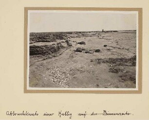 Westküste - Abbruchkante Finkhaushallig