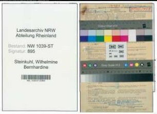 Entnazifizierung Wilhelmine Bernhardine Steinkuhl , geb. 18.02.1911 (Assessorin)