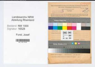 Entnazifizierung Josef Forst, geb. 08.07.1900 (Verw.Angest.)