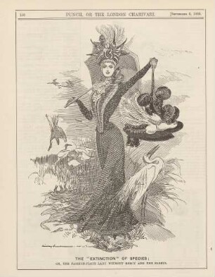 The "extinction" of species; or, tha fashion-plate lady without mercy and the egrets