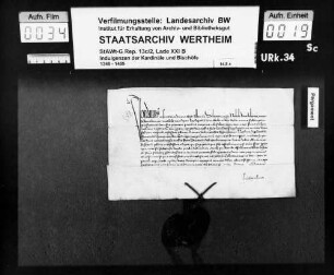 Bewilligungsbrief des Bischofs von Albanien Jordanus, wodurch dem Grafen Johann von Wertheim und seiner Gemahlin Mechthild gestattet wird, sich einen Priester als Beichtvater auszuwählen, welcher ihre Beichten hören und sie von ihren Sünden absolvieren dürfe.