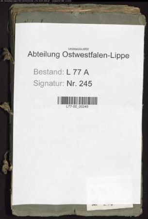 Ratswahl im Flecken Lage, Bd. 1