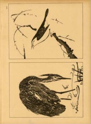 BBF [Deux oiseaux, par Shunbokou]