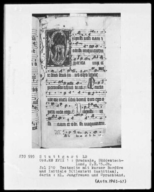Graduale — Initiale D (ilexisti iustitiam) mit heiligen Jungfrauen, Folio 210recto