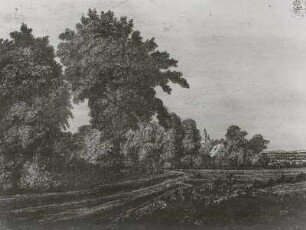 Landschaft mit großen Bäumen und Gebäuden
