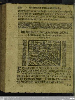 Am fünfften Sontag nach dem Fest der Offenbahrung Christi, Evangelium Matth. am 13.