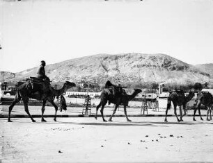 Syrien, Damaskus, Karawane auf Bahnhofsvorplatz gegen den Djebel Kaisun, Januar 1918