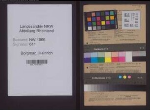 Entnazifizierung Heinrich Borgman , geb. 06.10.1899 (Landwirt)