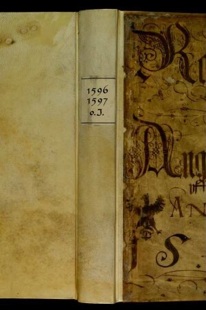 Ratsprotokolle, 1596 Aug. 3. - 1597 Juli 31.