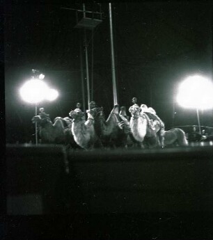 Circus Williams - Enrico-Caroli-Truppe, ohne Ortsangabe, 1959