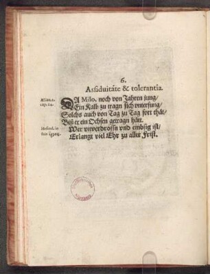 6. Assiduitate & tolerantia.