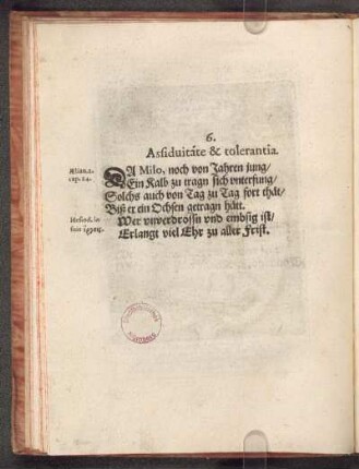 6. Assiduitate & tolerantia.