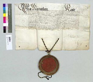 Kaiser Maximilian nimmt Bischof Veit von Regensburg und das Hochstift in seinen Schutz. S: A