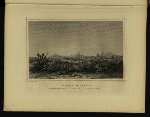 Plateau of Puebla.