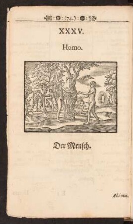 [XXXV. Homo. Der Mensch. - XLIII. Deformes & monstrosi. Ungestalte und Mißgeburten.]