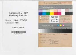 Entnazifizierung Albert Flues, geb. 27.02.1889 (Schlosser)
