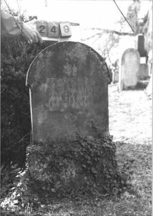 Grabstein 249 (Index: 99786858) Zustand: nur oberer Teil erhalten: abgebrochen und zementiert, Inschrift stark verwittert Maße HxBxT: 116x61x17 cm: Grabstein 249