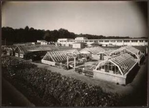 Fotoalbum: Deutsche Gartenbau- und Schlesische Gewerbe-Ausstellung (GUGALI), Liegnitz: Gewächshausbauten