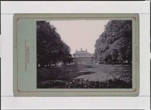 Pillnitz. Bergpalais (von der Mittelallee gesehen.)