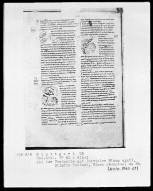Bibel — Textseite mit drei Initialen, Folio 24 verso