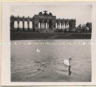 Wien, Schönbrunn, Gloriette