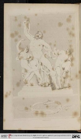 The Laocoon. Group in Marble