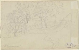 Landschaft mit Bäumen