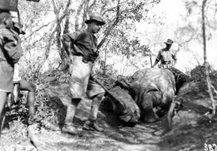 Nashorn : Hans Schomburgk neben einem toten Nashorn.