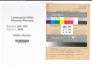 Entnazifizierung Bertram Weiler , geb. 03.11.1898 (Angestellter)