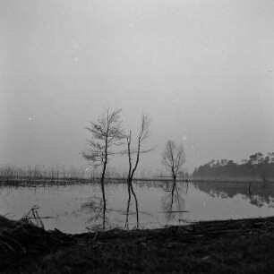 An der Pfaueninsel
