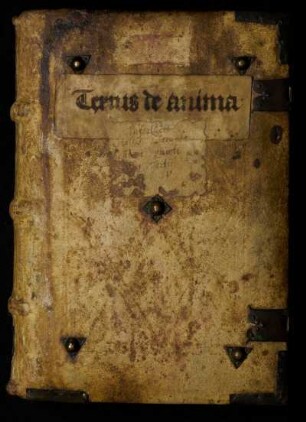 Aristoteles