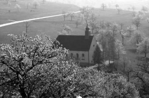 Ebringen: Blütenpracht an der Berghauser Kapelle