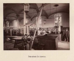 Strieder, Wilhelm. Städtischer Schlachthof & Viehhof