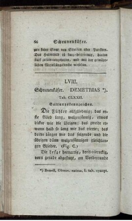 LVIII. Scheunenkäfer [bis] LXIV. Sandkäfer.