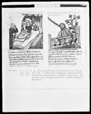 Speculum humanae salvationis — ---, Folio 15versoBuchseite