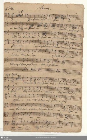 Stimmensatz [Schreiber: Opitz, J. S.]
