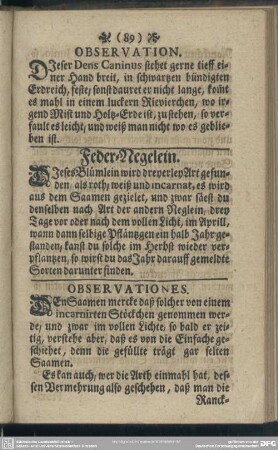 Feder-Negelein