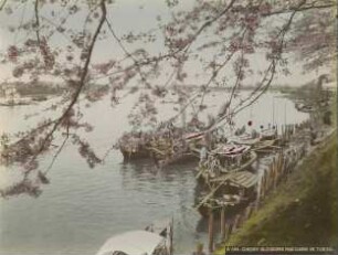 Uferszene mit Booten/KIrschblüte