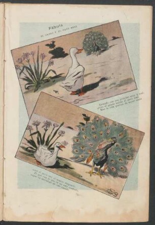 Fábula - El ganso y el pavo real