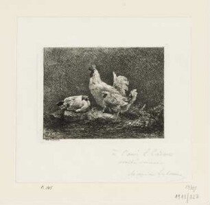 Hühner
