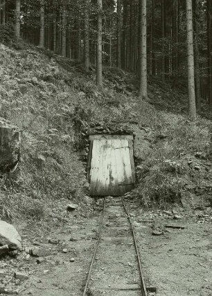 Sosa, OT von Eibenstock, Stollenmundloch mit Gleisanlage im Hangwald, Grube Himmelfahrt
