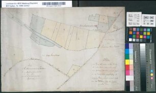 [Karte der Esserdensche Spicken, des Aldenwardschen und Rheinländischen Zehnten bei Esserden]. Fol. 2