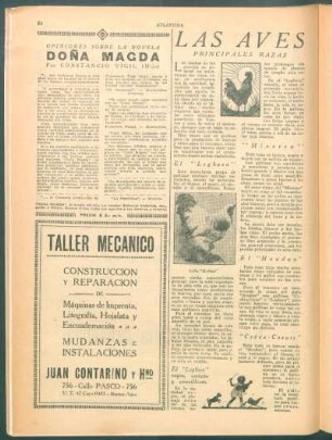 Opiniones sobre la novela Doña Magda