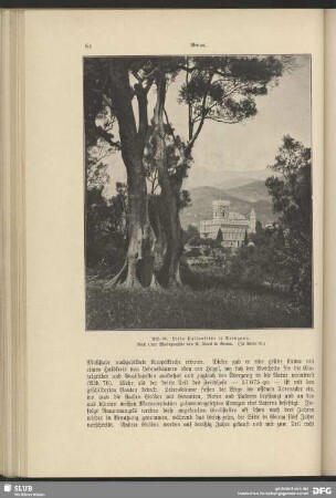 Villa Pallavincini in Arenzano