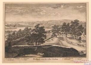 Die Hallerwiese