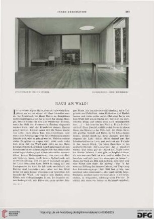 47: Haus am Wald!