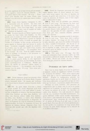 Protomes en terre cuite