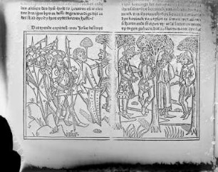 Biblische Geschichten mit Holzschnitten — Joshua lässt die Amoriterkönige hängen