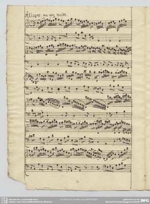 [2.] Allegro ma non molto