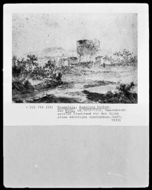 Buschdurchsetztes Flachland mit der Ruine eines mächtigen Rundturmes